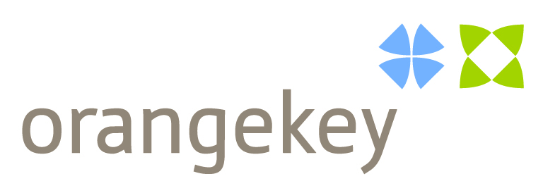 DSEE Logo